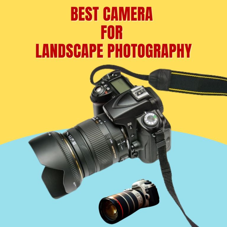 Best Camera For Landscape Photography